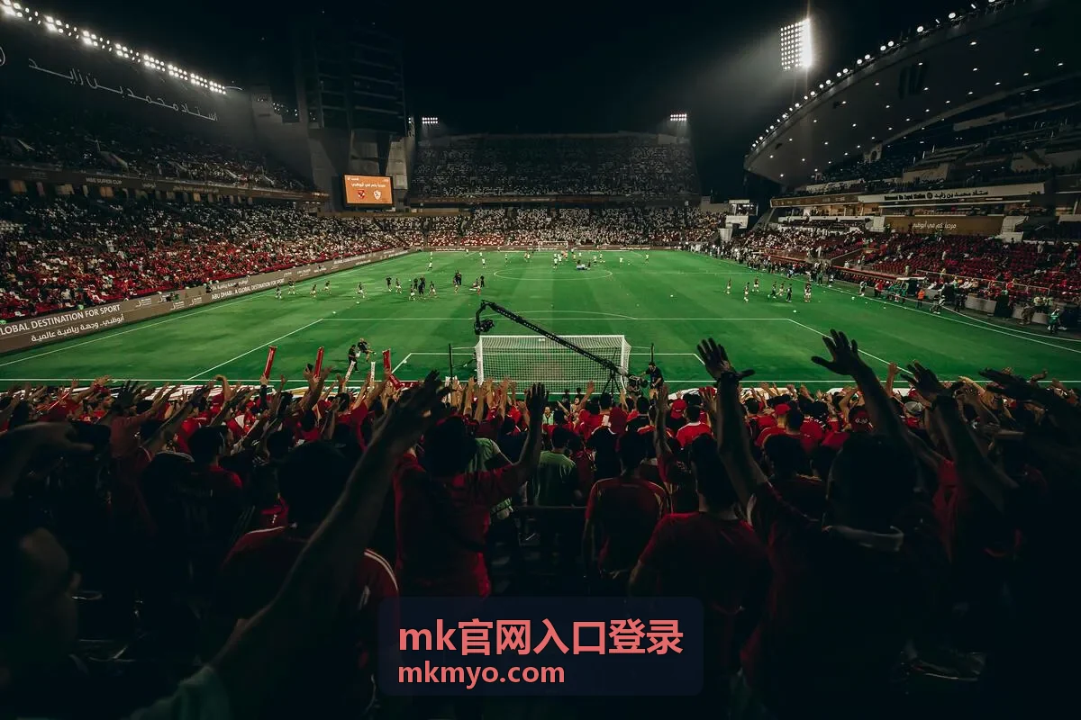 mk官网入口登录账号验证页面示意