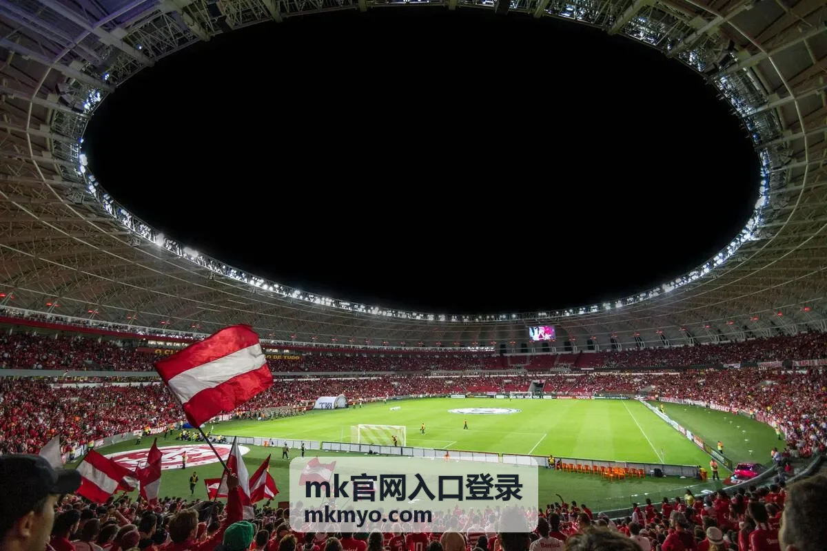 mk官网入口登录 账号验证流程配图