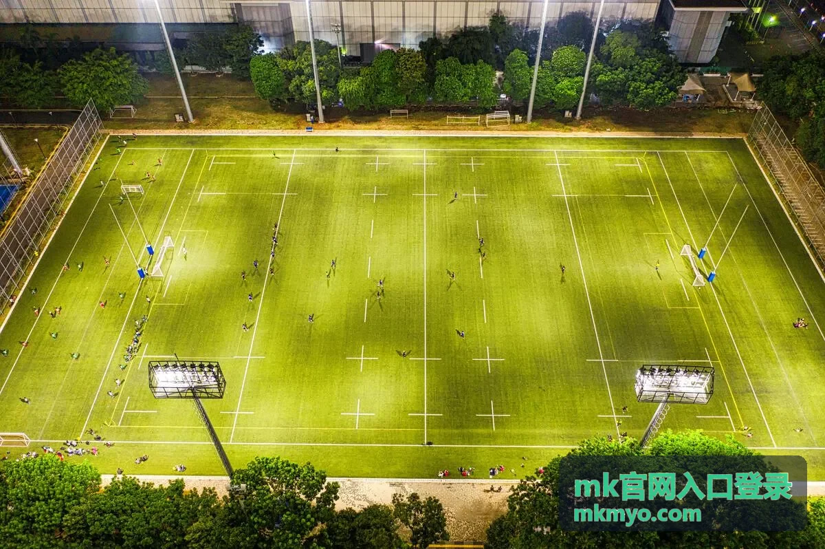 mk官网入口登录 页面加载排查配图