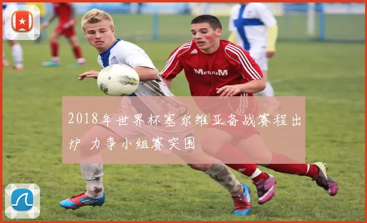 2018年世界杯塞尔维亚备战赛程出炉 力争小组赛突围
