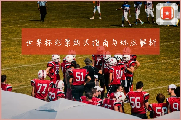 世界杯彩票购买指南与玩法解析