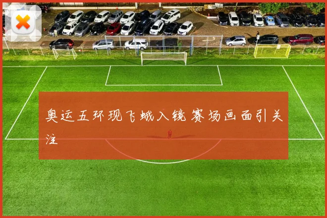 奥运五环现飞蛾入镜 赛场画面引关注