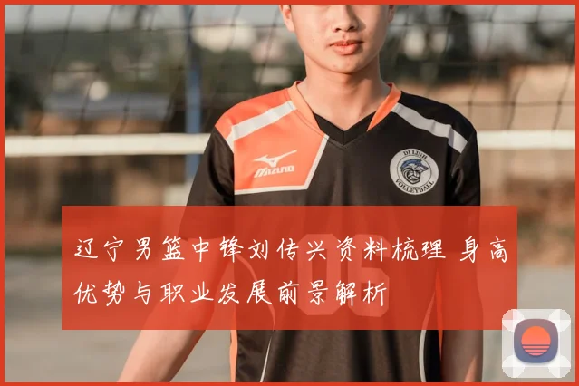 辽宁男篮中锋刘传兴资料梳理 身高优势与职业发展前景解析