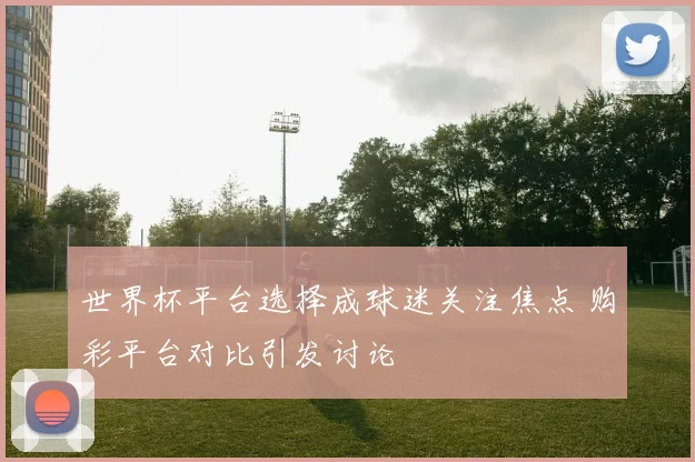 世界杯平台选择成球迷关注焦点 购彩平台对比引发讨论