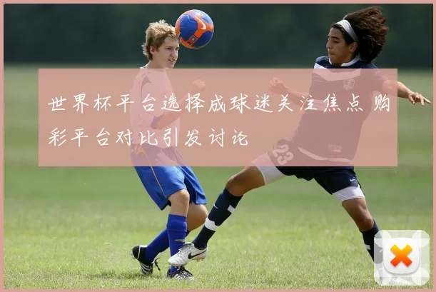世界杯平台选择成球迷关注焦点 购彩平台对比引发讨论
