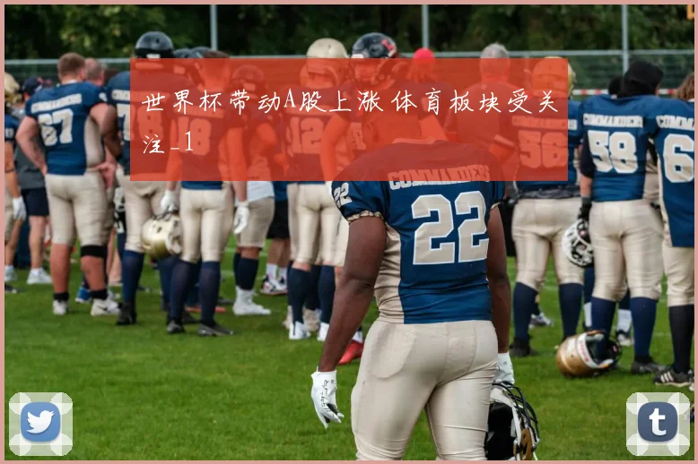 世界杯带动A股上涨 体育板块受关注_1